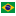 Brazilian Serie A U20