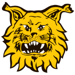 Ilves II Finland Kakkonen - Play-offs predictions