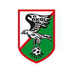 Sokó? Kleczew