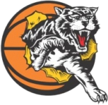 Willetton Tigers W